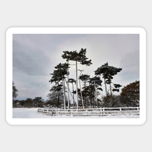 Warlies Park Winter Scene Sticker